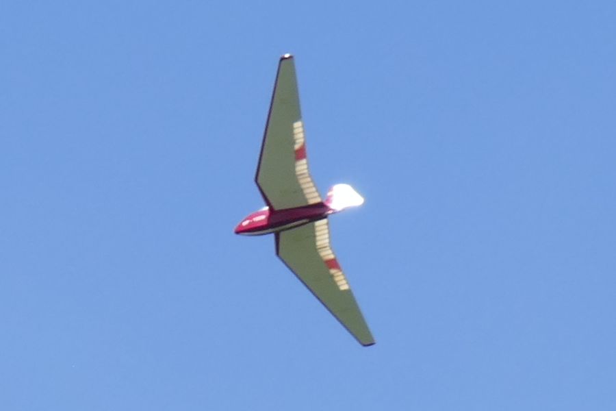 SZD-6x Nietoperz in der Luft