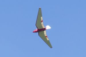 SZD-6x Nietoperz in der Luft