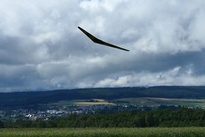 Der Pfeil 10