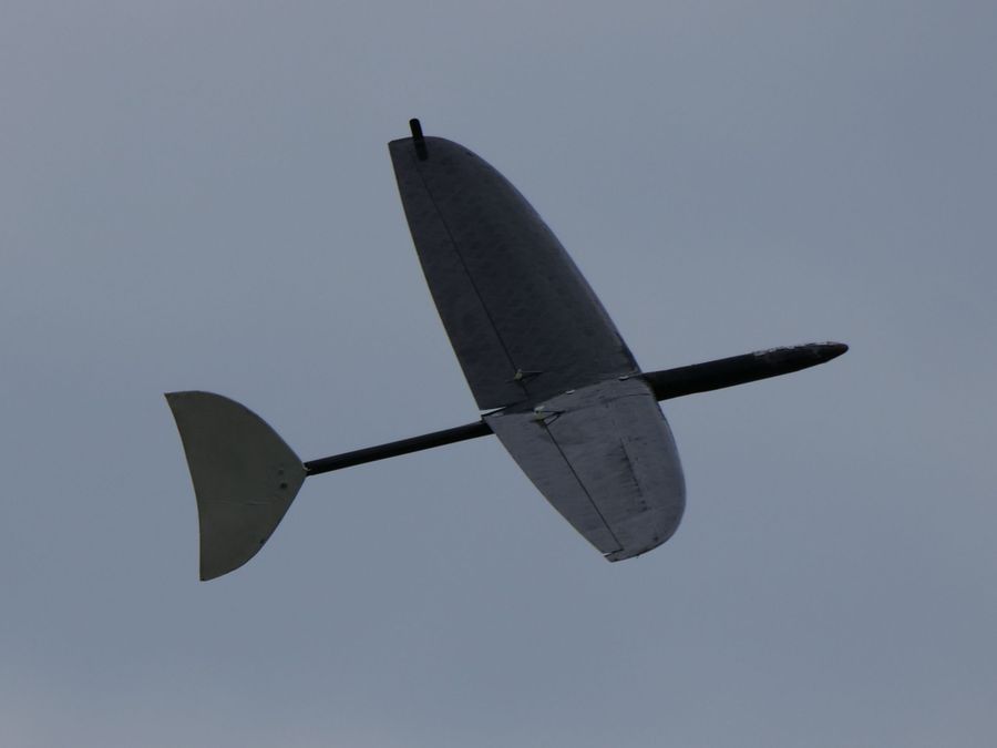 es war mal ein normaler DLG-Flieger