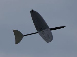 es war mal ein normaler DLG-Flieger