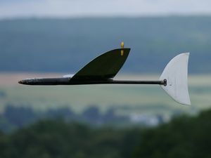 DLG im LandeanflugFlieger
