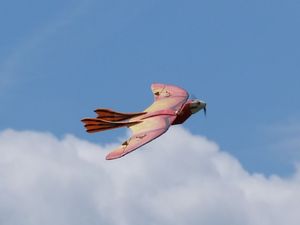 Mini Dino im Flug