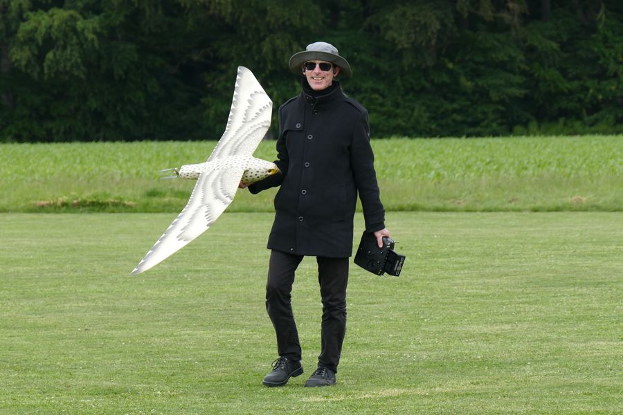 Falke von Mirko